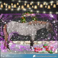 Horse Color:Liver Red Roan 