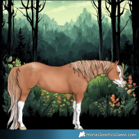 Horse Color:Gold Champagne Splash 