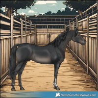 Horse Color:Black Tobiano 