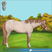 Horse Color:Red Roan Varnish 