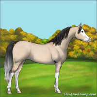 Horse Color:Brown Roan Dun Splash