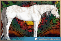 Horse Color:Amber Champagne Dun Sabino
