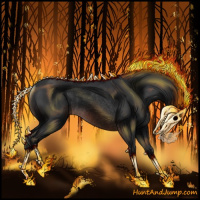 Horse Color:Brown Rabicano 