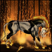 Horse Color:Void Smoky Grullo Tobiano