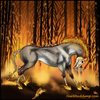 Horse Color:Gray Red Dun 