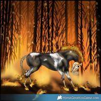 Horse Color:Midnight Gold Champagne Dun Tobiano