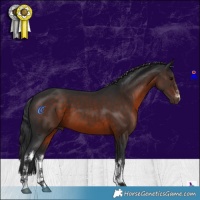 Horse Color:White Spotted Brown