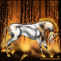 Horse Color:Gray Bay Roan Dun Tobiano Frame Rabicano 