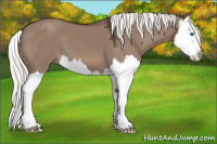 Horse Color:Liver Red Dun Mushroom Splash 