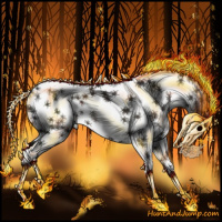 Horse Color:White Spotted Smoky Black 