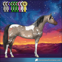Horse Color:White Spotted Brown Dun Tobiano 