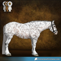 Horse Color:Brown Roan Sabino Snowcap