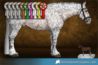 Horse Color:Brown Roan Sabino Appaloosa 