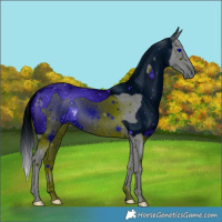 Horse Color:ERROR: UNKNOWN ANOMALY