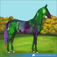 Horse Color:ERROR: UNKNOWN ANOMALY