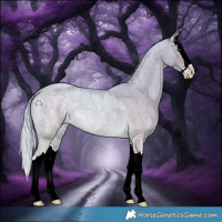 Horse Color:Watercolor Palomino Ice Roan Splash 