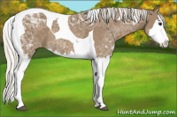 Horse Color:Silver Smoky Black Ice Sabino Splash Tobiano Varnish Rabicano