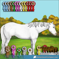 Horse Color:Silver Amber Cream Champagne Dun Splash Tobiano Varnish  and Silver Sable Champagne Dun Splash Tobiano Varnish Rabicano 