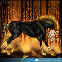 Horse Color:Void Black Tobiano Varnish 