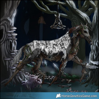 Horse Color:Void Black Splash Appaloosa  and Black Splash Tobiano Rabicano 