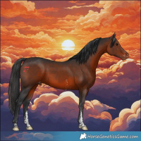 Horse Color:Brown Sabino Varnish 