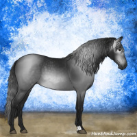 Horse Color:Gray Black 