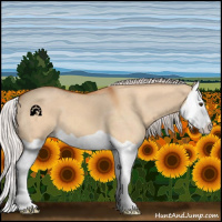 Horse Color:Silver Bay Dun Splash 