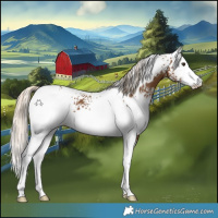 Horse Color:White Spotted Chocolate Palomino 