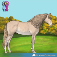 Horse Color:Perlino 