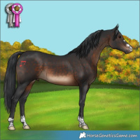 Horse Color:Brown 