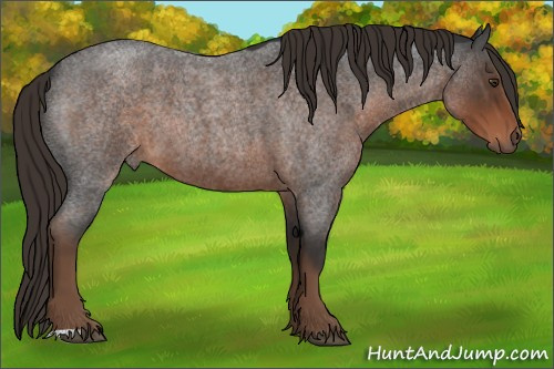 Horse Color:Liver Red Roan 