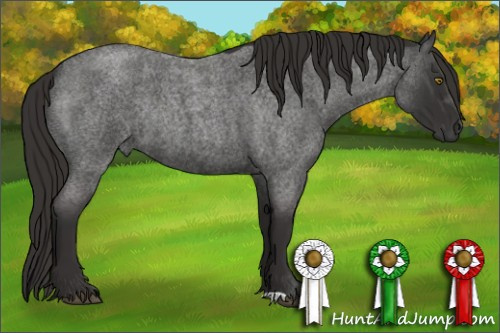 Horse Color:Liver Red Roan Rabicano 