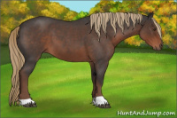 Horse Color:Liver Red Roan 