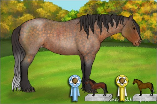 Horse Color:Buckskin Roan Sabino Appaloosa 