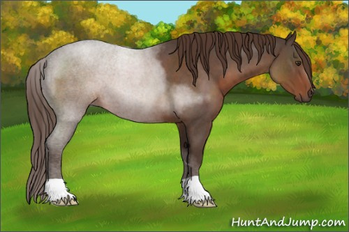 Horse Color:Liver Red Roan 