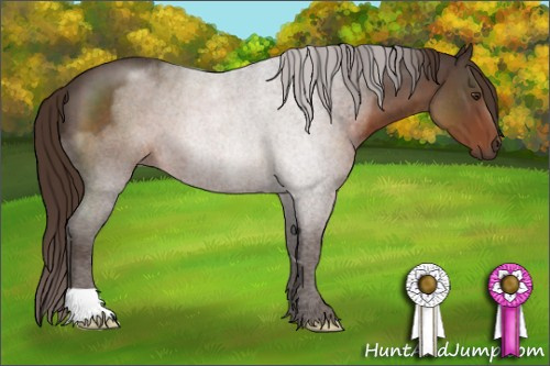 Horse Color:Liver Red Roan 