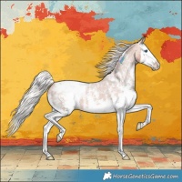 Horse Color:Silver Bay Sabino Splash Appaloosa 