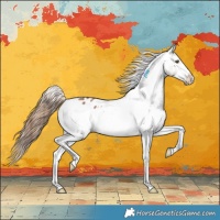 Horse Color:Chestnut Sabino Appaloosa