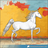 Horse Color:Silver Black Pearl Splash Appaloosa Rabicano 