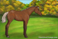 Horse Color:Silver Buckskin 