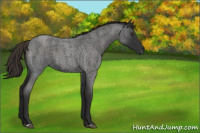 Horse Color:Liver Red Roan 