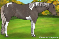 Horse Color:Silver Black Tobiano