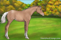 Horse Color:White Spotted Silver Classic Champagne 