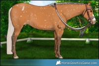 Horse Color:Silver Bay Snowflake Varnish