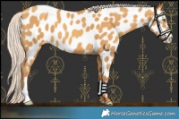 Horse Color:Silver Sable Cream Champagne Appaloosa 