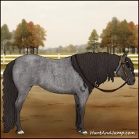 Horse Color:Smoky Blue Roan 