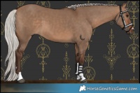 Horse Color:Silver Brown Dun 