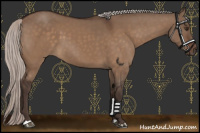 Horse Color:Silver Brown Dun 