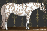 Horse Color:Silver Brown Dun Near Leopard 