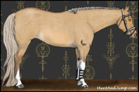 Horse Color:Silver Buckskin Roan Dun 